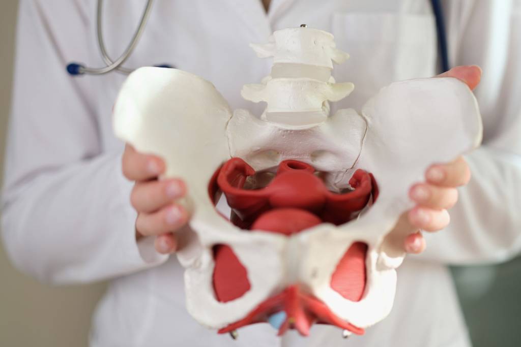 Pelvic Health - Midas Physiotherapy Best Physiotherapy Centre in Patiala